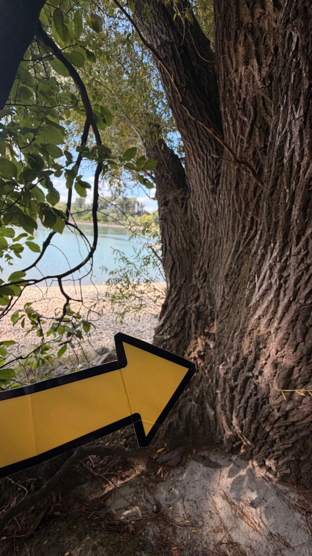 Ručne maľovaný tučniakový kameň č. 1275 ukrytý na mieste Dunaj Beach Tree, Bratislava, Slovensko (fotka 4 z 5)