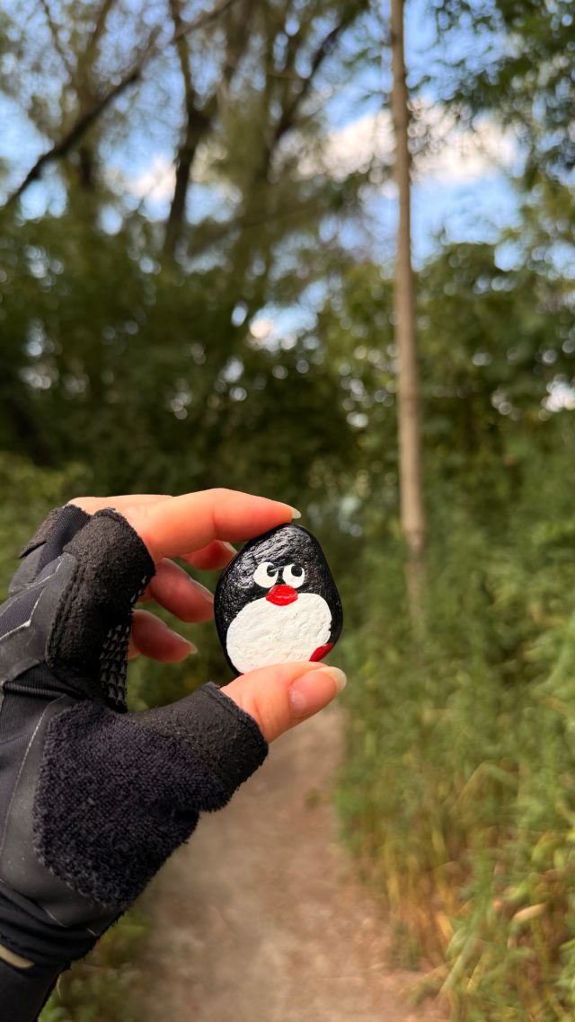 Hand-painted penguin stone #1275 hidden at Dunaj Beach Tree, Bratislava, Slovakia