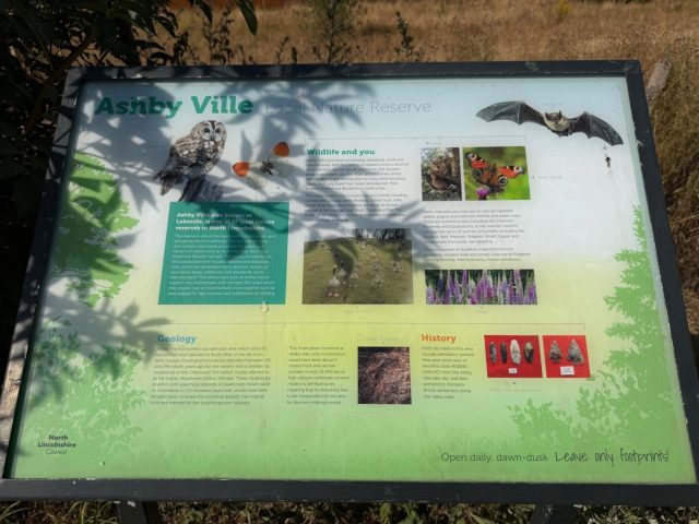 Ručne maľovaný tučniakový kameň č. 1289 ukrytý na mieste Ashby Ville Nature Reserve, Ashby, Spojené kráľovstvo (fotka 5 z 5)