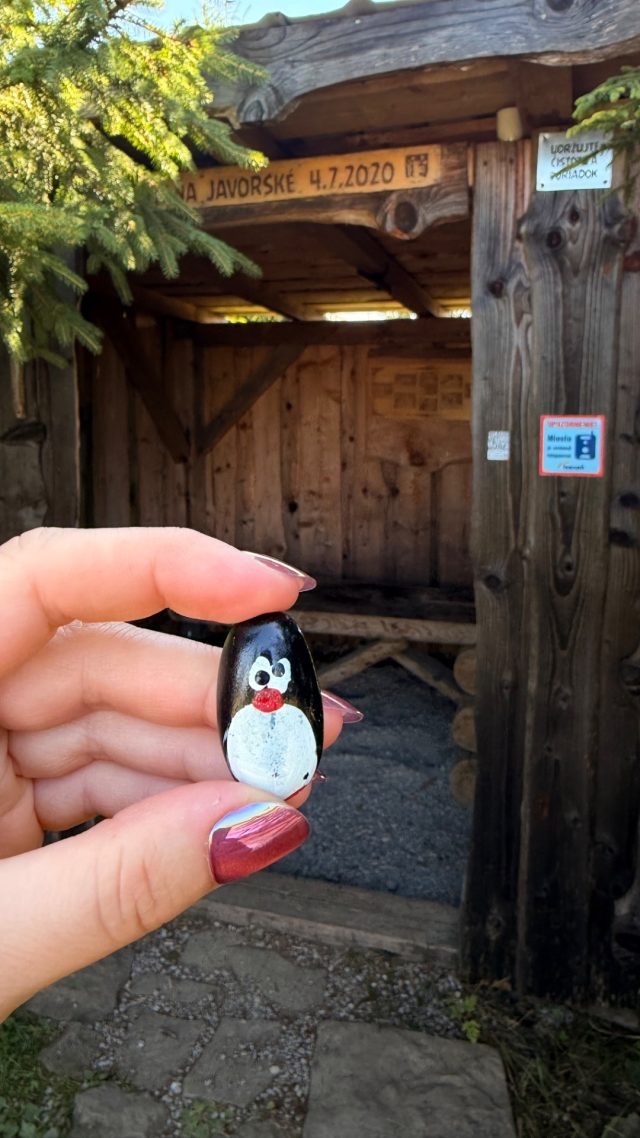 Hand-painted penguin stone #1294 hidden at Vrch Javorske Schelter, Oscadnica, Slovakia (photo 2 of 5)