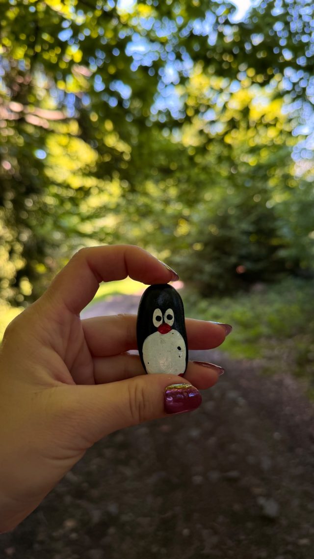 Hand-painted penguin stone #1296 hidden at Tree Trunk, Oscadnica, Slovakia (photo 2 of 5)