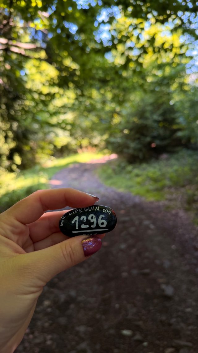 Hand-painted penguin stone #1296 hidden at Tree Trunk, Oscadnica, Slovakia (photo 3 of 5)