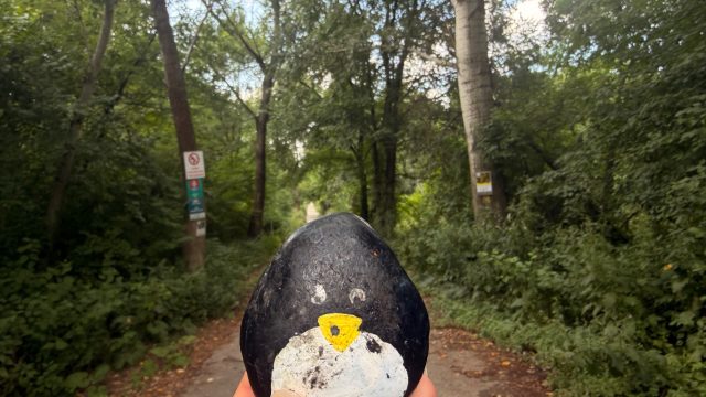 Hand-painted penguin stone #38 hidden at Tree Trunk, Bratislava, Slovakia