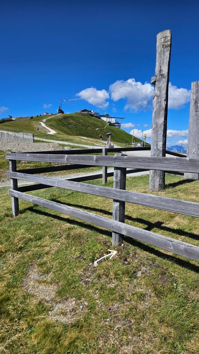 Hand-painted penguin stone #629 hidden at View towards Piesendorf, Zell am See, Austria (photo 4 of 4)