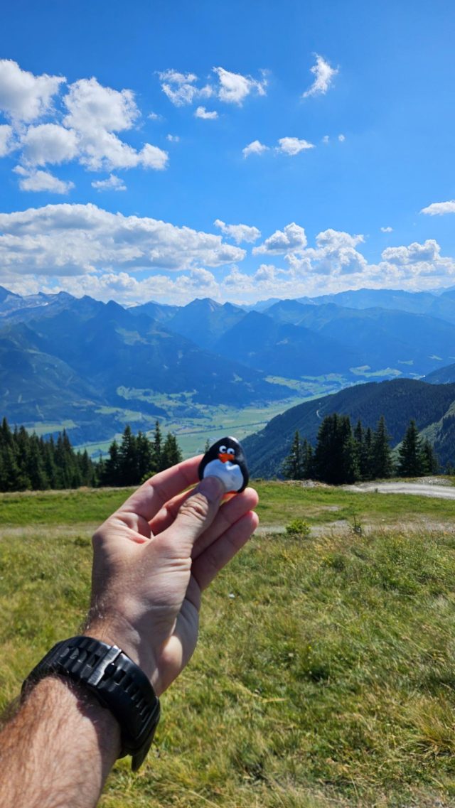 Hand-painted penguin stone #629 hidden at View towards Piesendorf, Zell am See, Austria