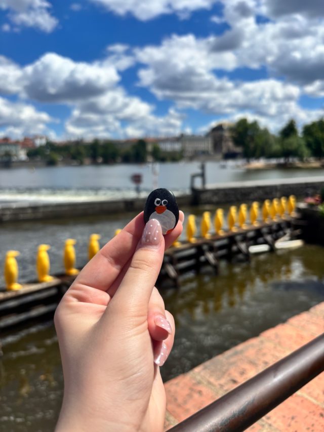 Hand-painted penguin stone #637 hidden at Kampa Park, Prague, Czechia