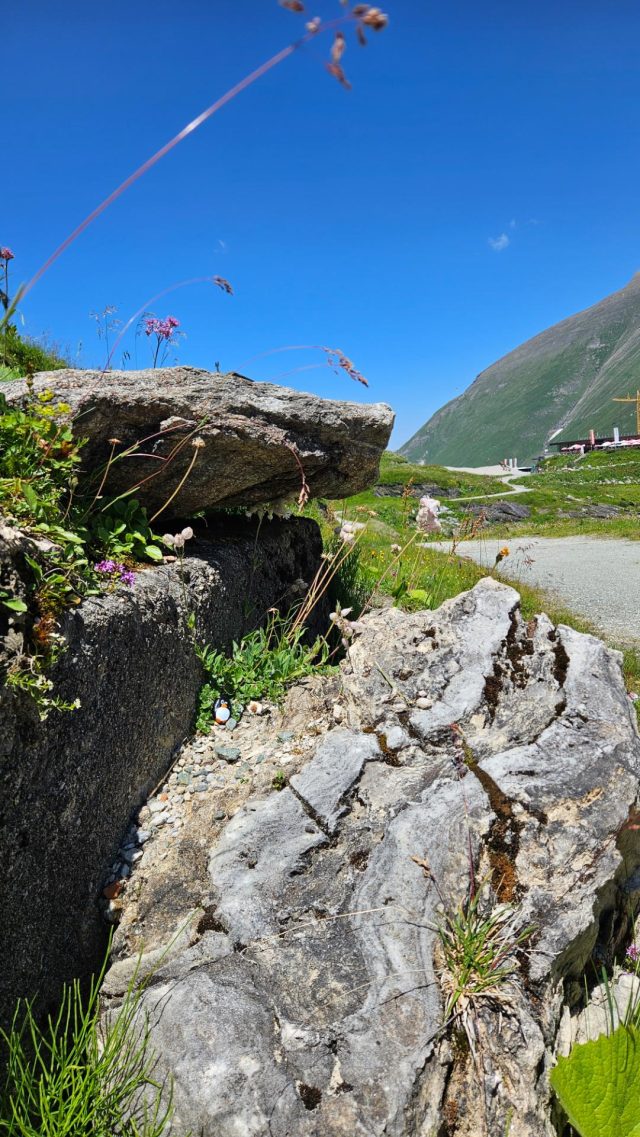 Hand-painted penguin stone #647 hidden at View Mooserboden, Mooserboden, Austria (photo 3 of 4)
