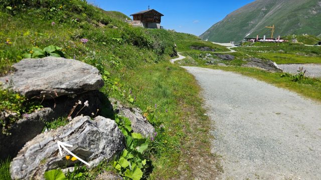 Hand-painted penguin stone #647 hidden at View Mooserboden, Mooserboden, Austria (photo 4 of 4)
