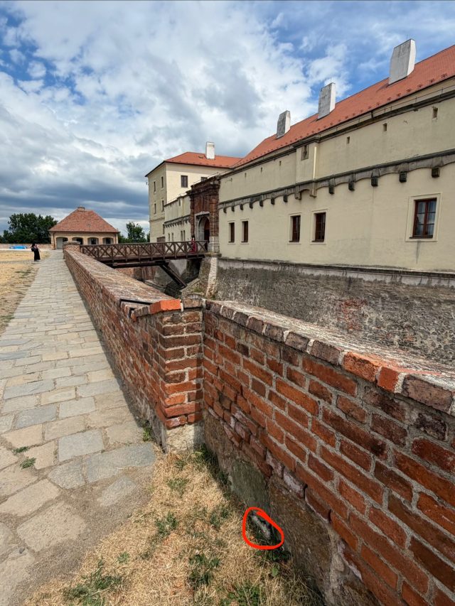 Hand-painted penguin stone #655 hidden at Spilberk Castle, Brno, Czechia (photo 4 of 5)