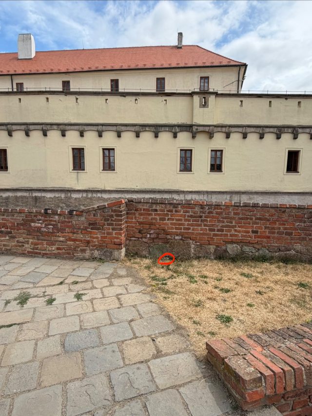 Hand-painted penguin stone #655 hidden at Spilberk Castle, Brno, Czechia (photo 5 of 5)
