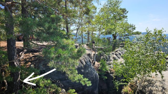 Ručne maľovaný tučniakový kameň č. 656 ukrytý na mieste Vilemínina stěna, Jetřichovice, Česko (fotka 4 z 4)