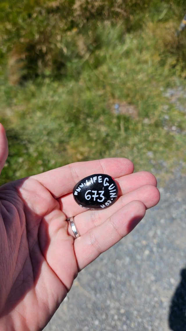 Hand-painted penguin stone #673 hidden at Salersbachkopfl (1934 m), Zell am See, Austria (photo 2 of 4)