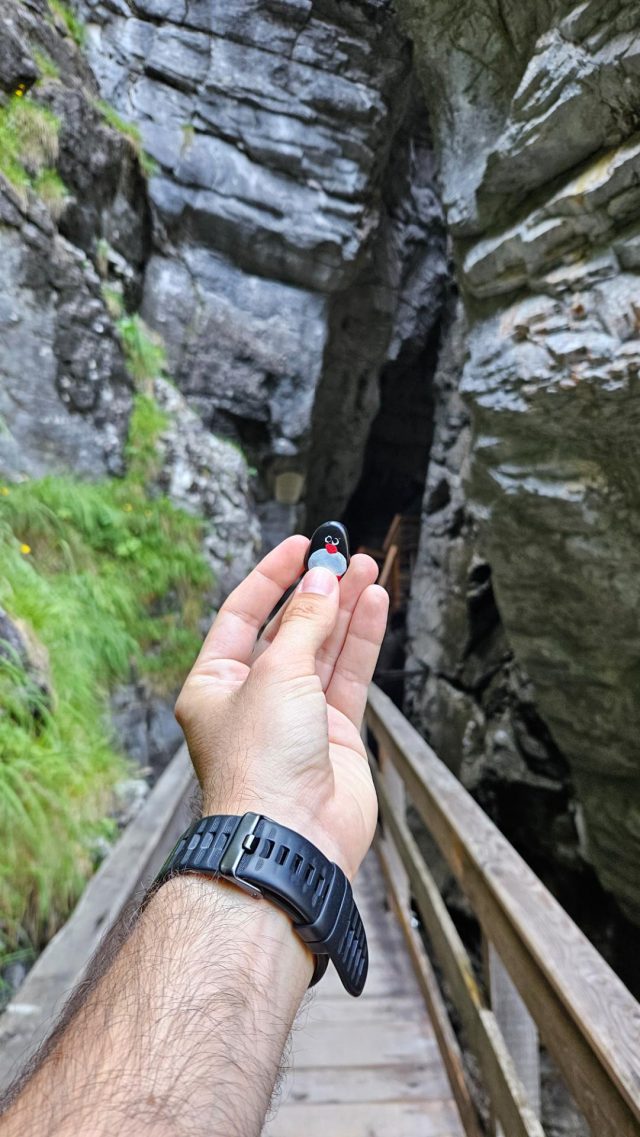 Hand-painted penguin stone #677 hidden at Vorderkaserklamm, Vorderkaserklamm, Austria
