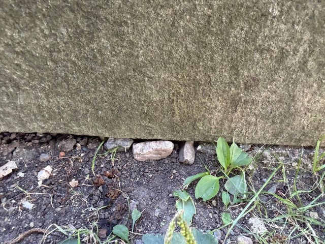 Hand-painted penguin stone #682 hidden at Vysehrad, Prague, Czechia (photo 4 of 5)