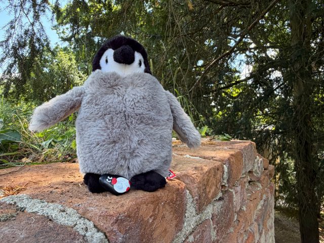 Hand-painted penguin stone #692 hidden at Zamecky Rybnik, Jeskyne Peklo, Lednice, Czechia (photo 2 of 5)