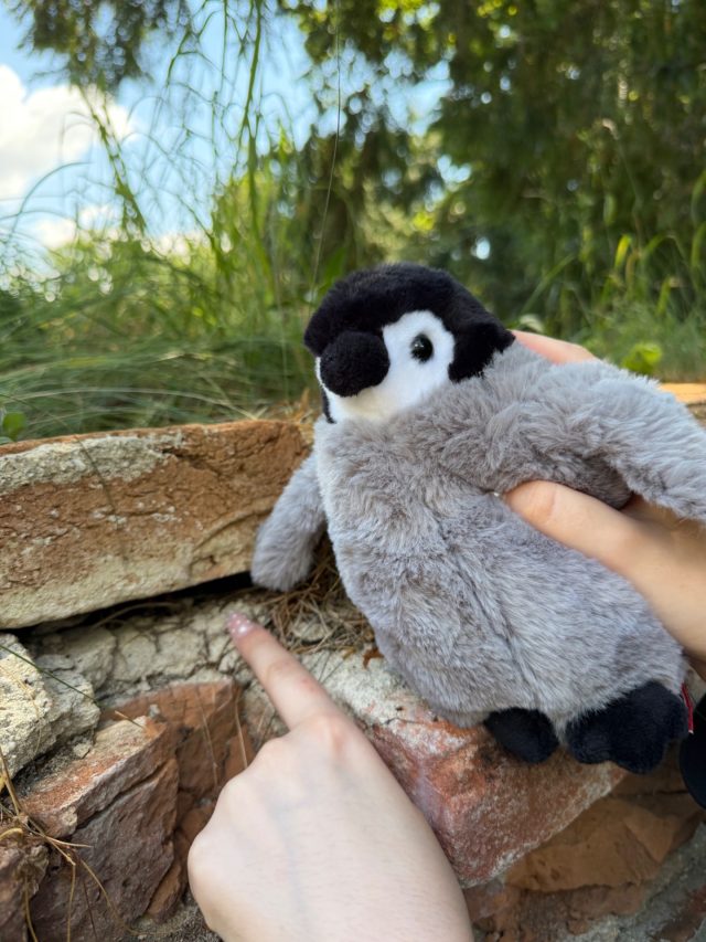Hand-painted penguin stone #692 hidden at Zamecky Rybnik, Jeskyne Peklo, Lednice, Czechia (photo 3 of 5)