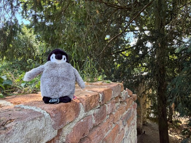 Hand-painted penguin stone #692 hidden at Zamecky Rybnik, Jeskyne Peklo, Lednice, Czechia