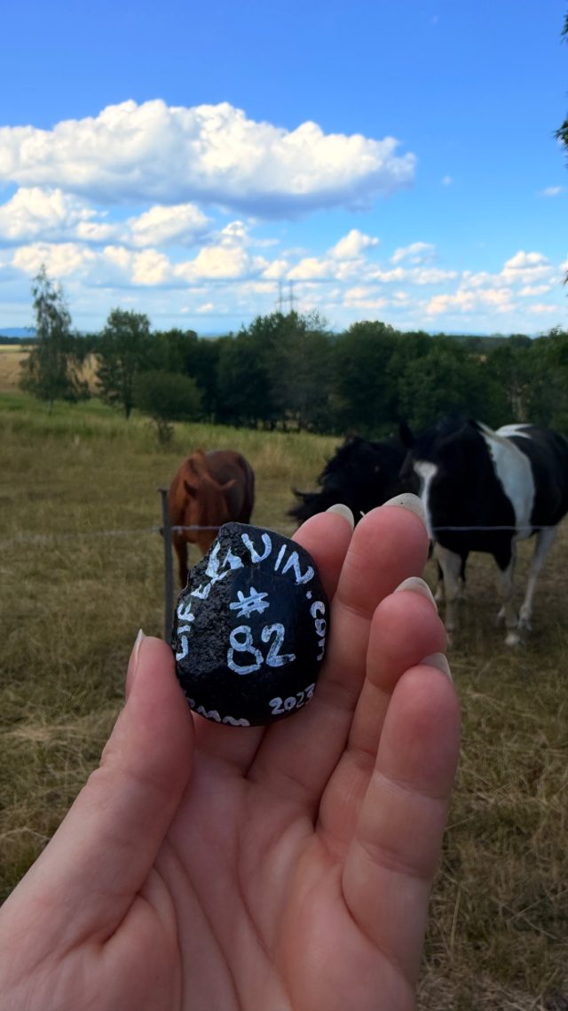 Ručne maľovaný tučniakový kameň č. 82 ukrytý na mieste Tree Trunk, Riečky, Slovensko (fotka 5 z 5)