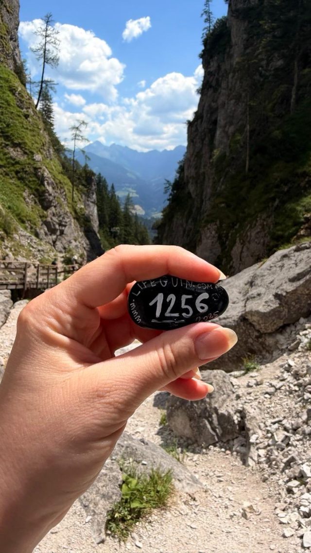 Hand-painted penguin stone #1256 hidden at Silberkarklamm Waterfall, Silberkarklamm, Austria (photo 3 of 5)
