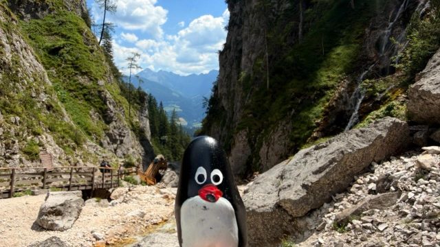 Hand-painted penguin stone #1256 hidden at Silberkarklamm Waterfall, Silberkarklamm, Austria