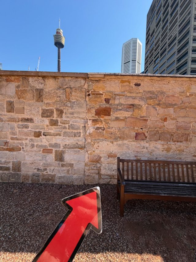 Hand-painted penguin stone #1082 hidden at Hyde Park Barracks, Sydney, Australia (photo 5 of 5)