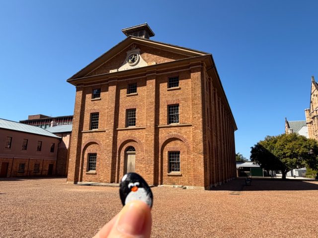 Hand-painted penguin stone #1082 hidden at Hyde Park Barracks, Sydney, Australia