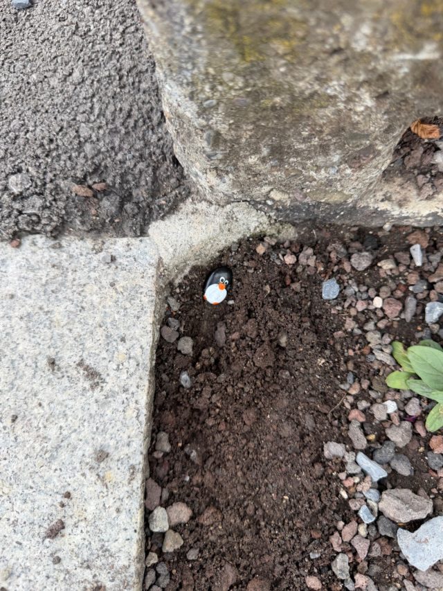 Hand-painted penguin stone #1122 hidden at Rathaus, Wettingen, Switzerland (photo 3 of 4)
