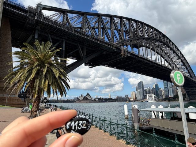 Hand-painted penguin stone #1132 hidden at Milsons Point Wharf, Sydney, Australia (photo 2 of 4)