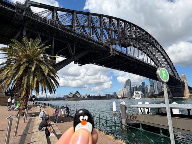 Hand-painted penguin stone #1132 hidden at Milsons Point Wharf, Sydney, Australia