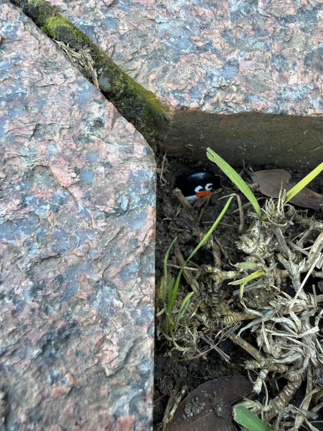 Hand-painted penguin stone #1139 hidden at Anzac Memorial, Sydney, Australia (photo 3 of 5)