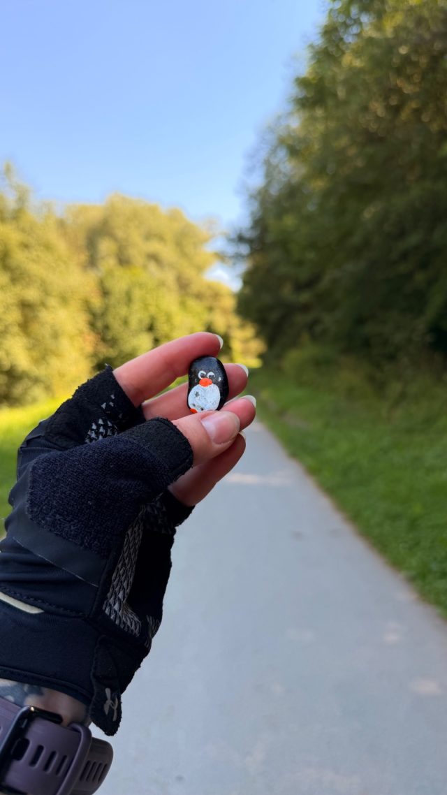 Hand-painted penguin stone #1151 hidden at Tree Behind Bench, Hniezdne, Slovakia (photo 2 of 4)