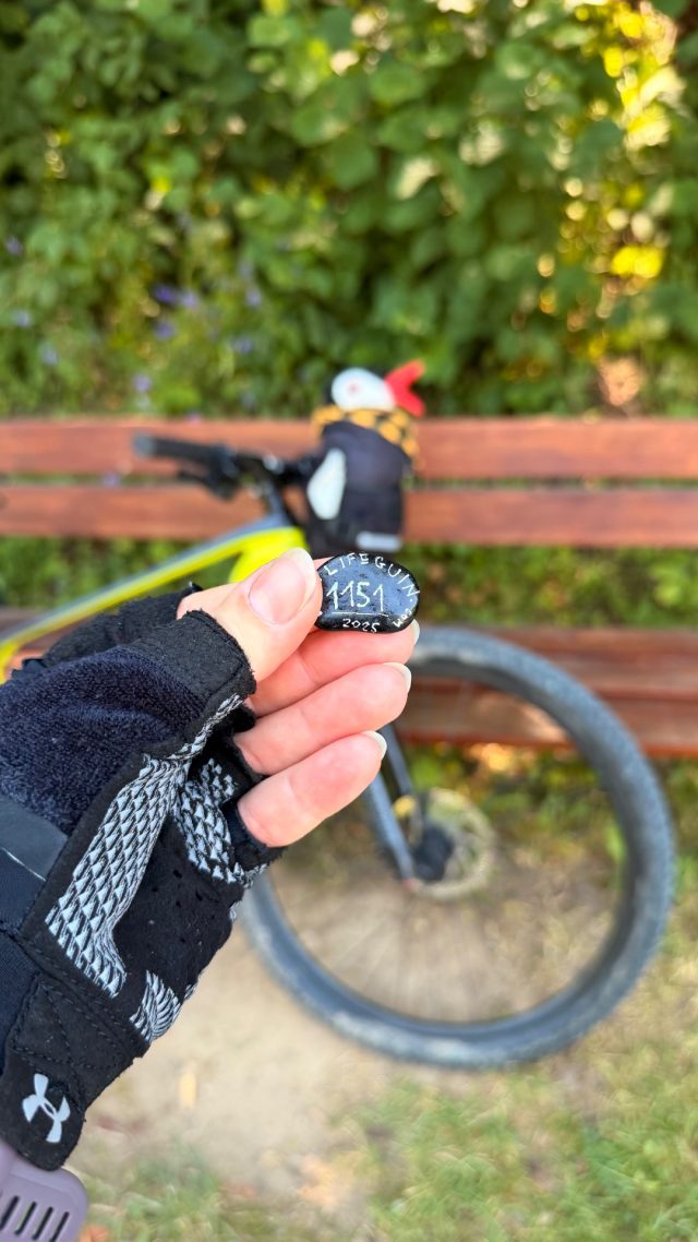 Hand-painted penguin stone #1151 hidden at Tree Behind Bench, Hniezdne, Slovakia (photo 3 of 4)
