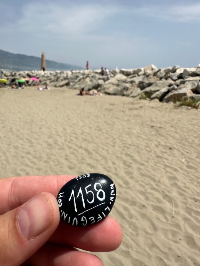 Ručne maľovaný tučniakový kameň č. 1158 ukrytý na mieste Playa de Puerto Banús, Marbella, Španielsko (fotka 5 z 5)