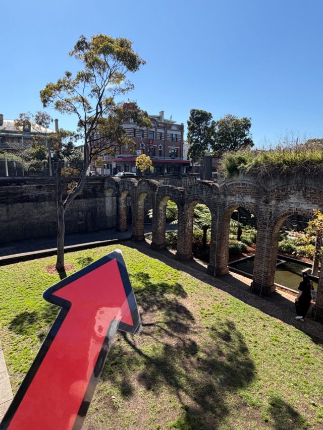 Hand-painted penguin stone #1231 hidden at Paddington Reservoir Gardens, Sydney, Australia (photo 4 of 5)