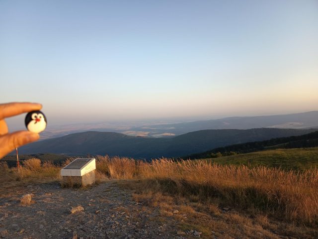 Hand-painted penguin stone #1253 hidden at Kojsova Hola, Kojsov, Slovakia (photo 2 of 4)