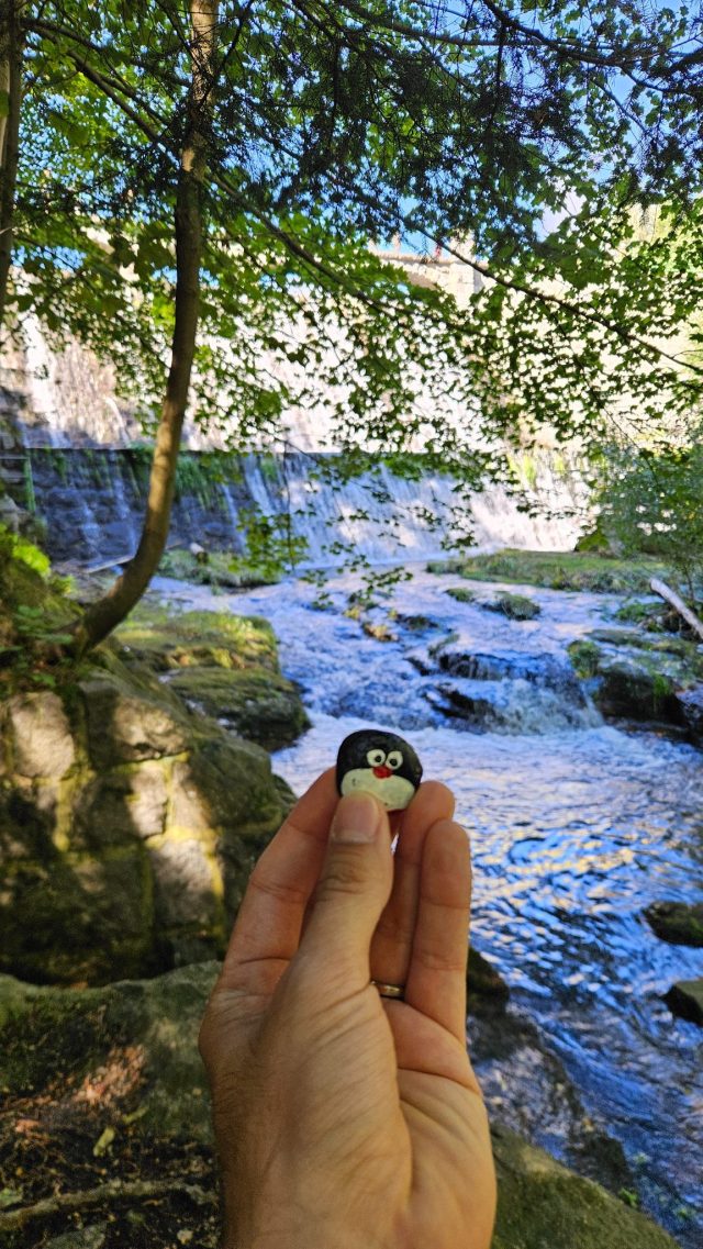 Hand-painted penguin stone #1273 hidden at Karpacz dam, Karpacz, Poland (photo 2 of 5)