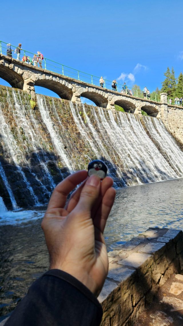 Hand-painted penguin stone #1273 hidden at Karpacz dam, Karpacz, Poland