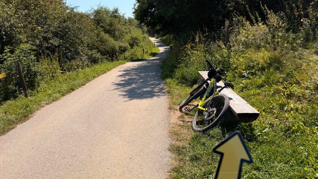 Ručne maľovaný tučniakový kameň č. 1280 ukrytý na mieste Underneath Bench, Hniezdne, Slovensko (fotka 4 z 4)