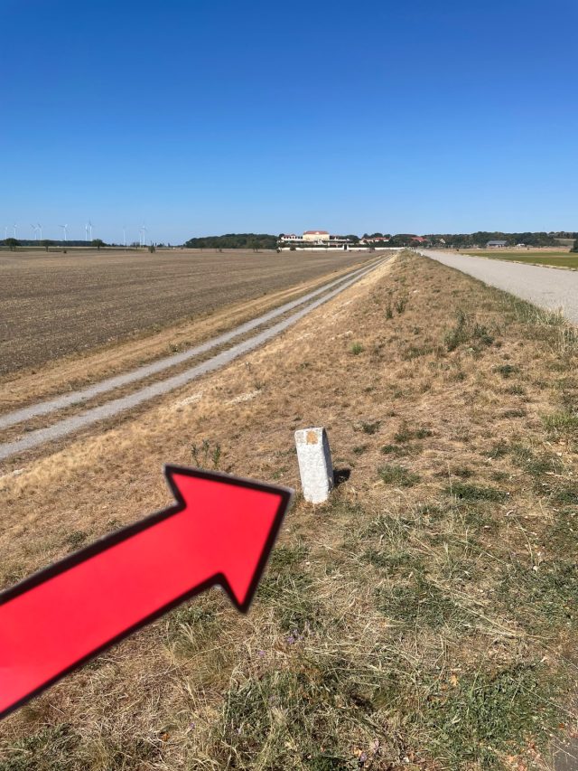 Ručne maľovaný tučniakový kameň č. 1311 ukrytý na mieste Cross Road, Engelhartstetten, Rakúsko (fotka 4 z 4)