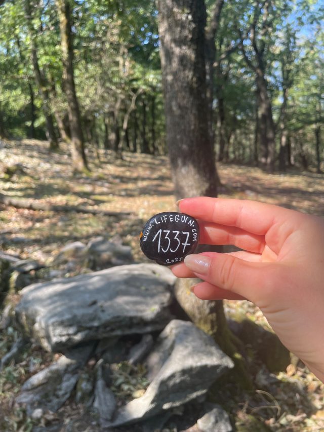Ručne maľovaný tučniakový kameň č. 1337 ukrytý na mieste Under Rocks, Little Carpathians, Slovensko (fotka 2 z 4)