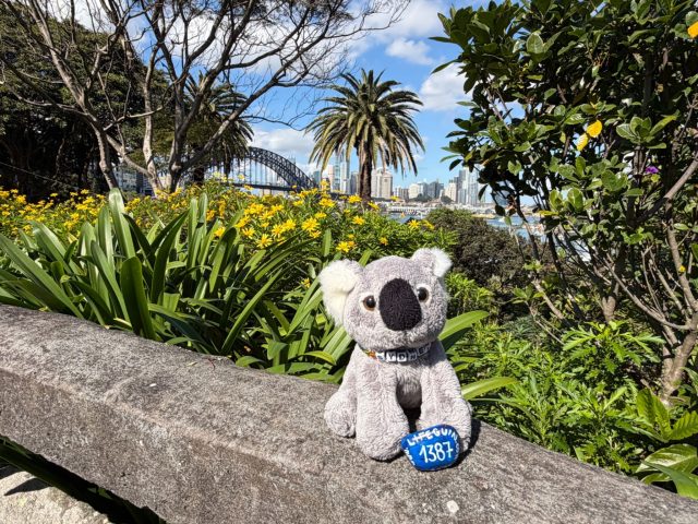 Hand-painted penguin stone #1387 hidden at Wendy Whiteley's Secret Garden, Sydney, Australia (photo 2 of 3)