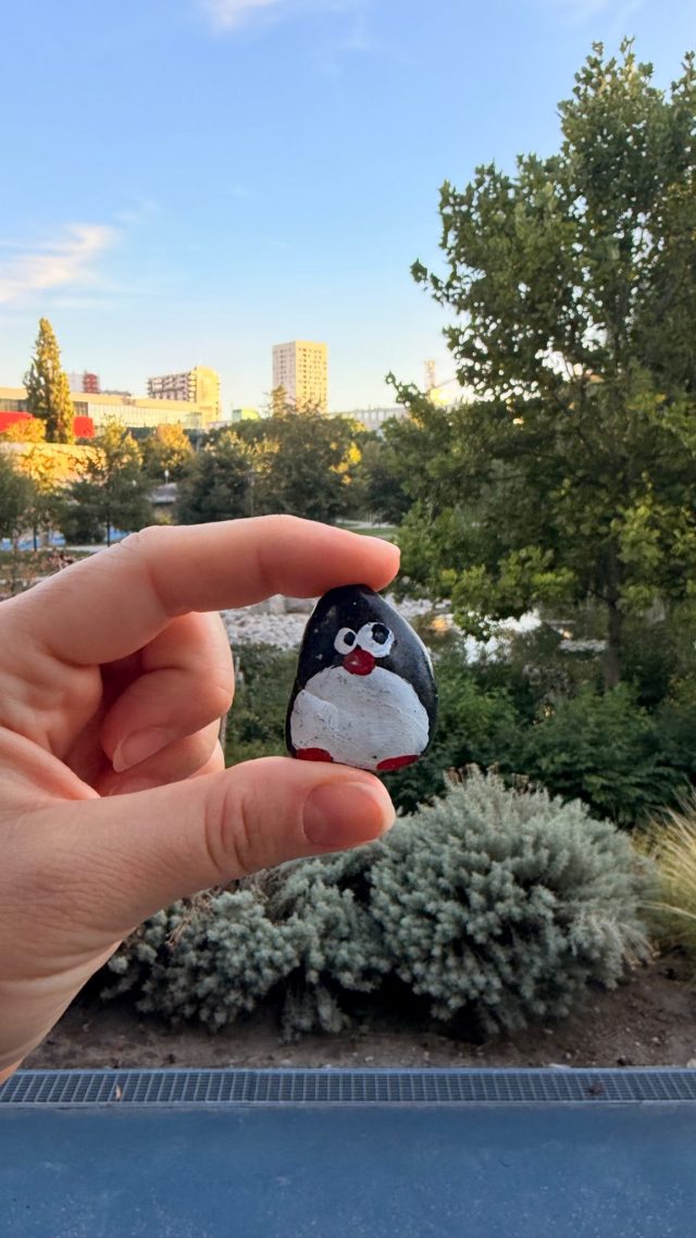 Hand-painted penguin stone #1636 hidden at Jama Park, Bratislava, Slovakia (photo 3 of 5)