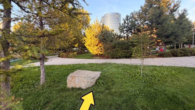 Hand-painted penguin stone #1636 hidden at Jama Park, Bratislava, Slovakia (photo 4 of 5)