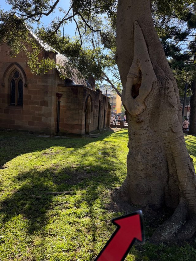 Hand-painted penguin stone #2317 hidden at Vine Church, Sydney, Australia (photo 4 of 5)