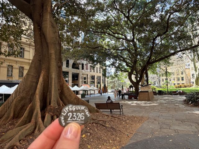 Hand-painted penguin stone #2326 hidden at Macquarie Place Park, Sydney, Australia (photo 2 of 5)