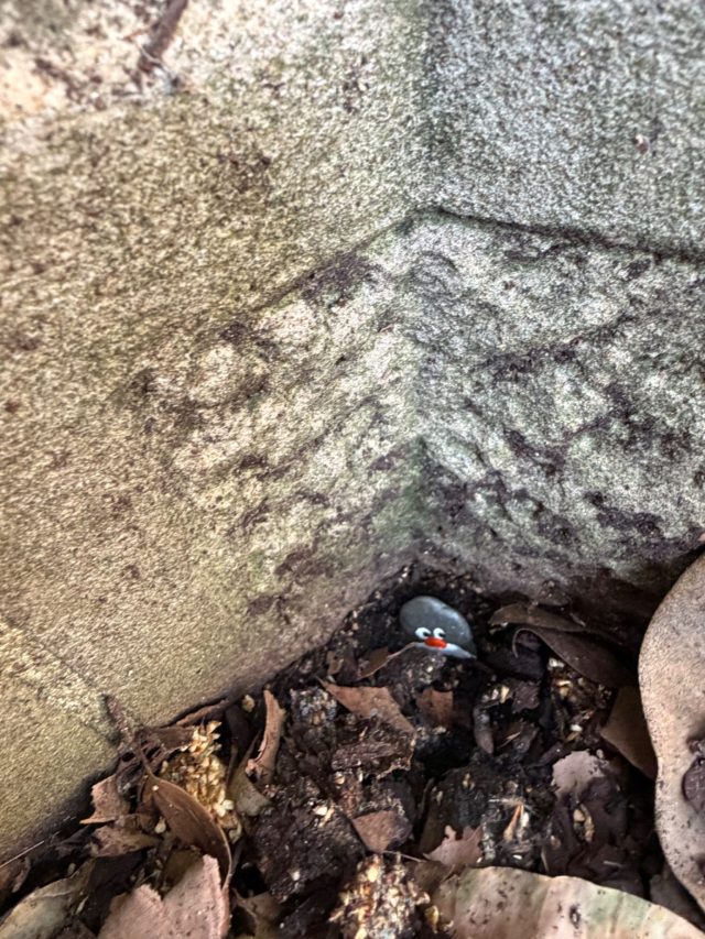 Hand-painted penguin stone #2326 hidden at Macquarie Place Park, Sydney, Australia (photo 3 of 5)
