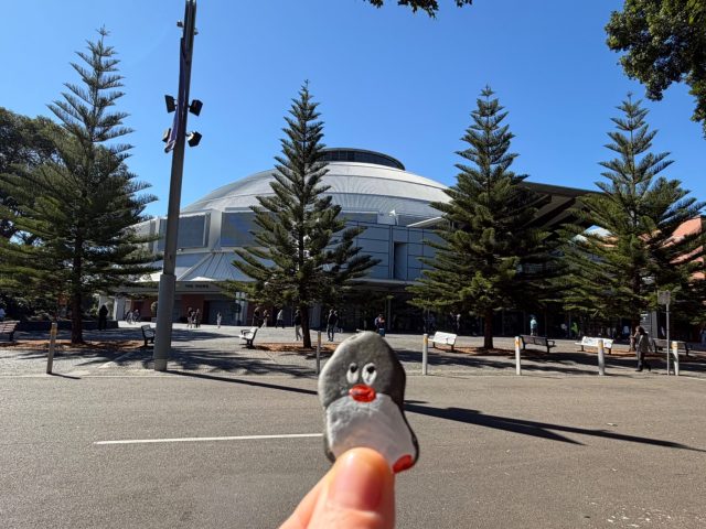 Hand-painted penguin stone #2336 hidden at Olympic Park, Sydney, Australia