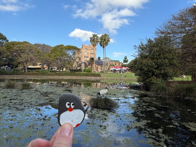 Hand-painted penguin stone #2340 hidden at Victoria Park, Sydney, Australia