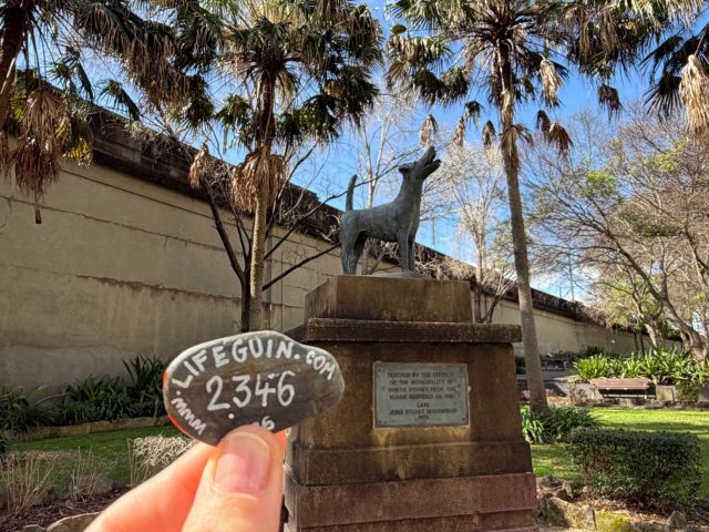Hand-painted penguin stone #2346 hidden at Jessie Stuart Broomfield Monument, Sydney, Australia (photo 2 of 4)