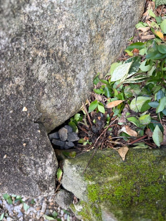 Hand-painted penguin stone #2346 hidden at Jessie Stuart Broomfield Monument, Sydney, Australia (photo 4 of 4)